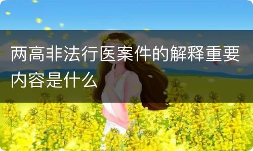 两高非法行医案件的解释重要内容是什么