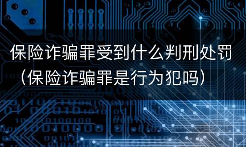 保险诈骗罪受到什么判刑处罚（保险诈骗罪是行为犯吗）