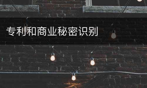 专利和商业秘密识别