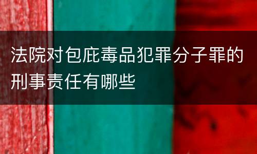 法院对包庇毒品犯罪分子罪的刑事责任有哪些
