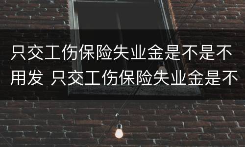 只交工伤保险失业金是不是不用发 只交工伤保险失业金是不是不发了