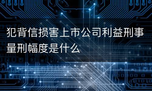 犯背信损害上市公司利益刑事量刑幅度是什么