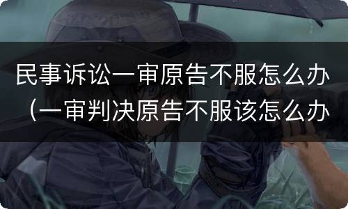 民事诉讼一审原告不服怎么办（一审判决原告不服该怎么办）