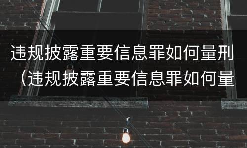 违规披露重要信息罪如何量刑（违规披露重要信息罪如何量刑标准）