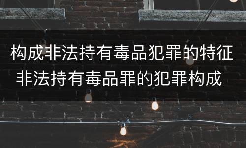 构成非法持有毒品犯罪的特征 非法持有毒品罪的犯罪构成