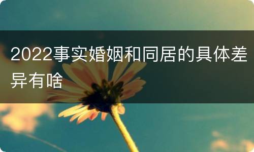 2022事实婚姻和同居的具体差异有啥