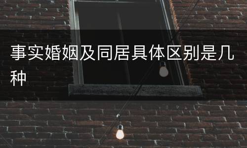 事实婚姻及同居具体区别是几种