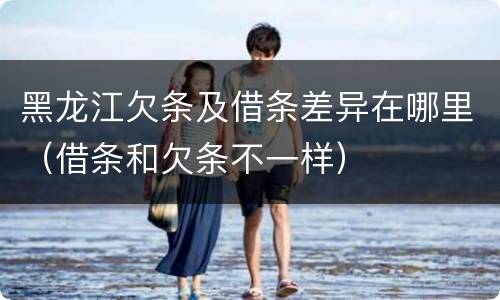 黑龙江欠条及借条差异在哪里（借条和欠条不一样）