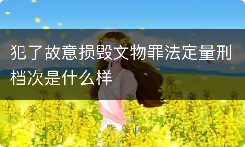 犯了故意损毁文物罪法定量刑档次是什么样