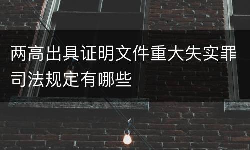 两高出具证明文件重大失实罪司法规定有哪些