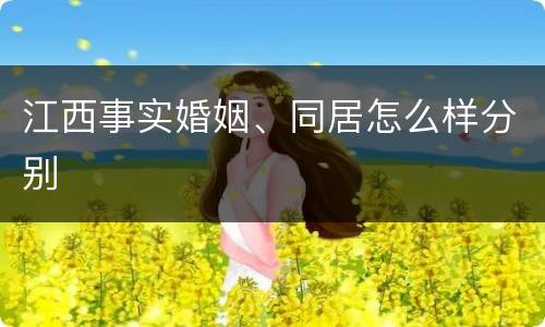 江西事实婚姻、同居怎么样分别