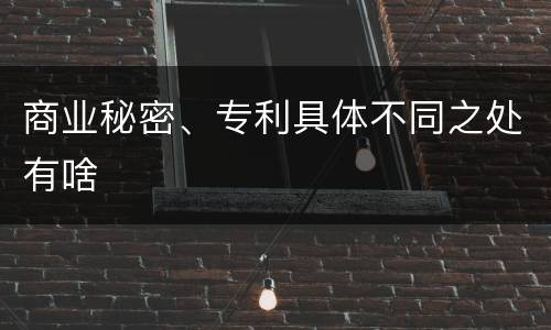 商业秘密、专利具体不同之处有啥