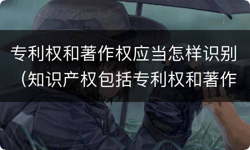 专利权和著作权应当怎样识别（知识产权包括专利权和著作权吗）