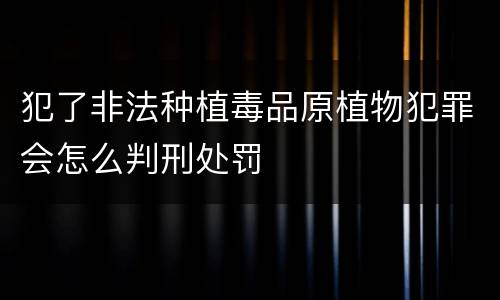 犯了非法种植毒品原植物犯罪会怎么判刑处罚