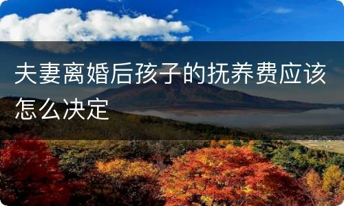 夫妻离婚后孩子的抚养费应该怎么决定