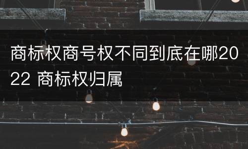 商标权商号权不同到底在哪2022 商标权归属