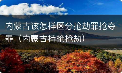 内蒙古该怎样区分抢劫罪抢夺罪（内蒙古持枪抢劫）