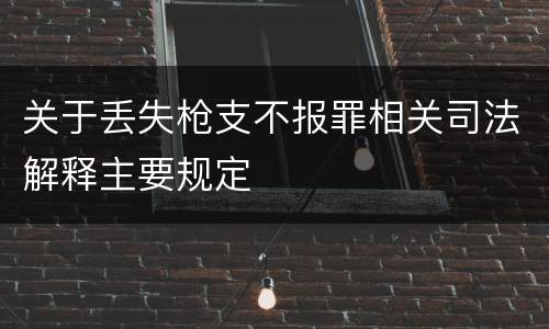 关于丢失枪支不报罪相关司法解释主要规定