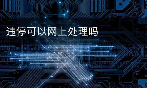 违停可以网上处理吗