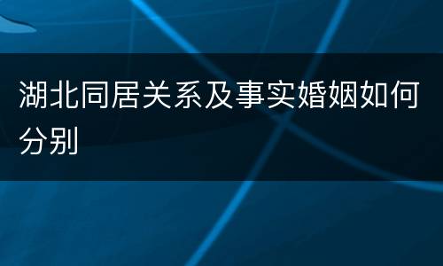 湖北同居关系及事实婚姻如何分别