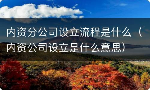 内资分公司设立流程是什么（内资公司设立是什么意思）
