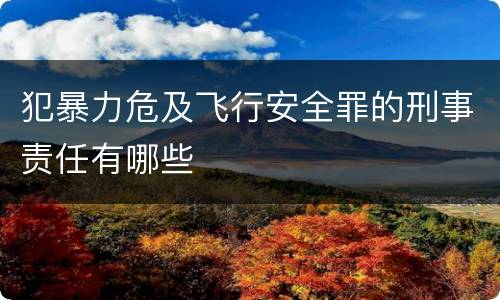 犯暴力危及飞行安全罪的刑事责任有哪些