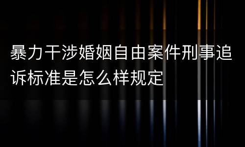 暴力干涉婚姻自由案件刑事追诉标准是怎么样规定