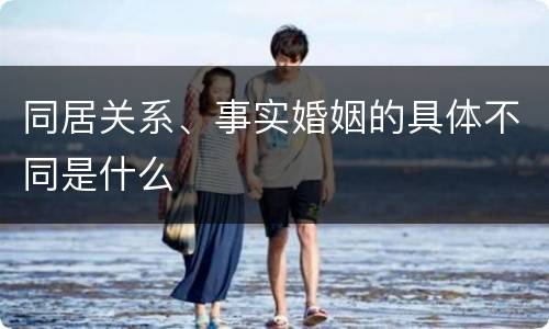 同居关系、事实婚姻的具体不同是什么