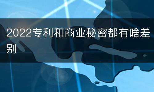 2022专利和商业秘密都有啥差别