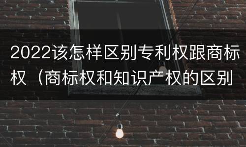 2022该怎样区别专利权跟商标权（商标权和知识产权的区别）