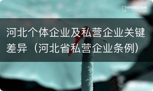 河北个体企业及私营企业关键差异（河北省私营企业条例）