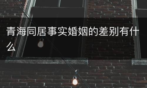 青海同居事实婚姻的差别有什么