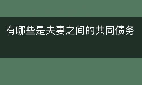 有哪些是夫妻之间的共同债务