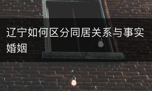 辽宁如何区分同居关系与事实婚姻