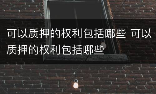 可以质押的权利包括哪些 可以质押的权利包括哪些