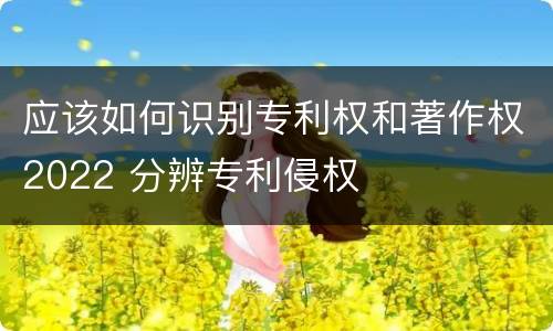 应该如何识别专利权和著作权2022 分辨专利侵权