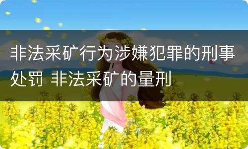 非法采矿行为涉嫌犯罪的刑事处罚 非法采矿的量刑