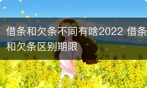 借条和欠条不同有啥2022 借条和欠条区别期限