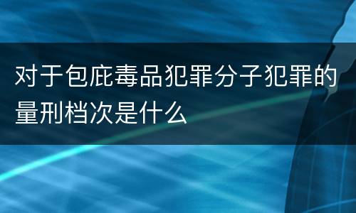 对于包庇毒品犯罪分子犯罪的量刑档次是什么