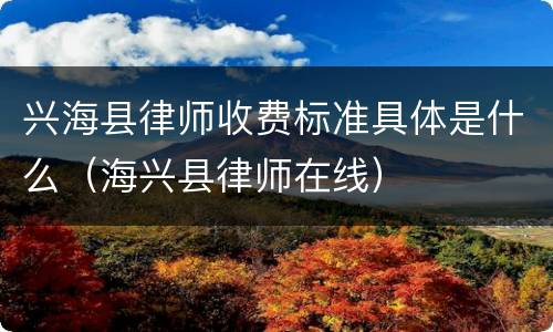 兴海县律师收费标准具体是什么（海兴县律师在线）