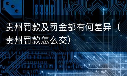 贵州罚款及罚金都有何差异（贵州罚款怎么交）