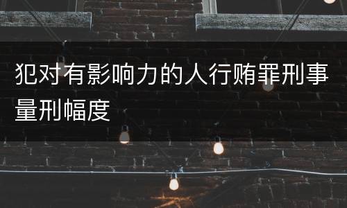 犯对有影响力的人行贿罪刑事量刑幅度