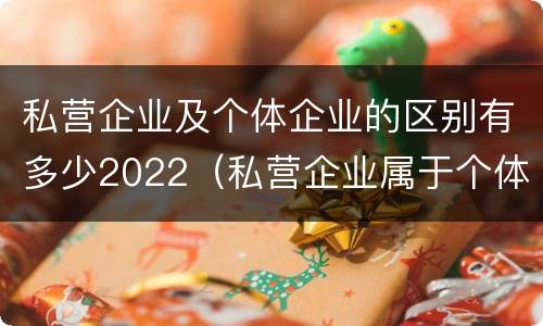私营企业及个体企业的区别有多少2022（私营企业属于个体经营吗）