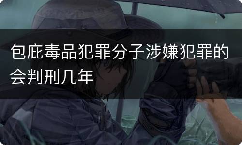 包庇毒品犯罪分子涉嫌犯罪的会判刑几年