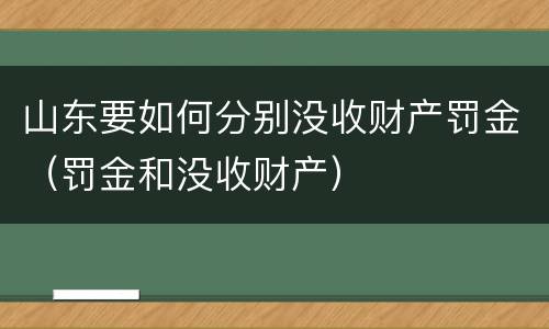 山东要如何分别没收财产罚金（罚金和没收财产）