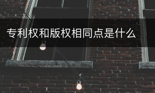专利权和版权相同点是什么