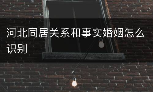 河北同居关系和事实婚姻怎么识别