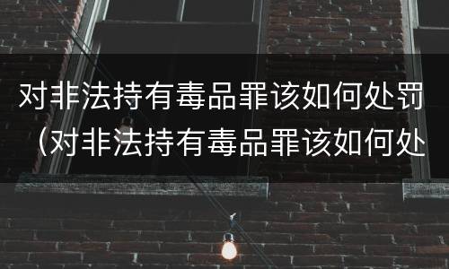 对非法持有毒品罪该如何处罚（对非法持有毒品罪该如何处罚呢）