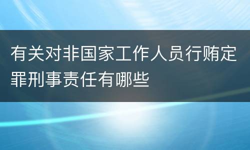 有关对非国家工作人员行贿定罪刑事责任有哪些
