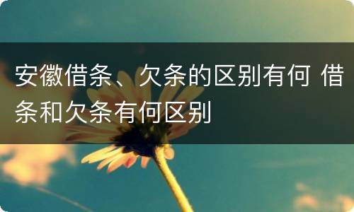 安徽借条、欠条的区别有何 借条和欠条有何区别